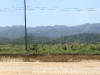 Jamaican Countryside