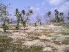 Grand Cayman - Post-Hurricane Lot