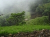 Misty Road to the Santa Elena Reserve