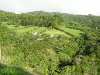 Monteverde Countryside 2