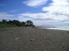 Osa Beach Left