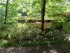 falling-water-house-through-the-trees