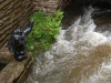 falling-water-rushing-water-passes-the-statue