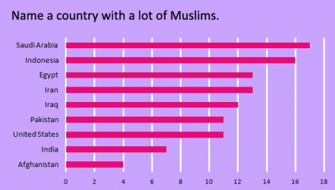 name-a-country-with-a-lot-of-muslims