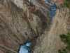 yellowstone-river-from-lower-falls-close-up