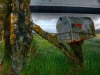 Moss-Covered-Mailbox-edit