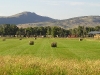 Train, Hay, and Mountains on a Perfect Summer Day